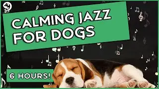 Calming Jazz Music For Dogs - Relaxing Dog Music To Stop Anxiety