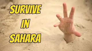 How to Survive in Sahara Alone?