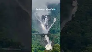 Dudhsagar waterfall 🌊🌀💧Amazing view #nature #travel #dudhsagarfallsingoa #dudhsagarwaterfalls #goa