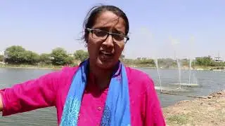 Water Heroes Share Your Story Winner -Madhulika Choudhary