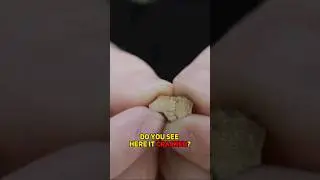 Did we buy gold with Tungsten in it? 😱