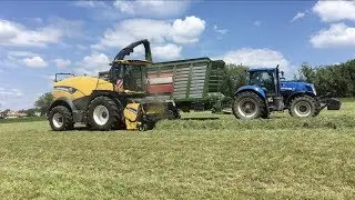 New Holland FR650 | Alfalfa silage  | Sklizeň sen&aacute;ž&iacute; jetelotr&aacute;v