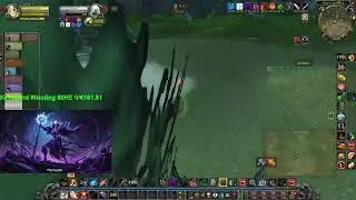 WoW Classic Anniversary 38 Level  Rogue Insane WSG Flag return.
