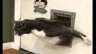 DICK KATZE !!!!!