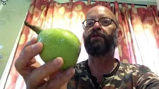Processing pears