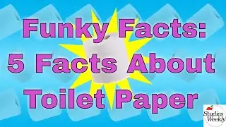 Studies Weekly Funky Facts: 5 Facts about Toilet Paper