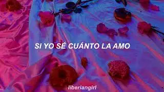 𝚀𝚞é 𝙼𝚎 𝚅𝚊𝚗 𝙰 𝙷𝚊𝚋𝚕𝚊𝚛 𝙳𝚎 𝙰𝚖𝚘𝚛 ∼ 𝙲𝚛𝚒𝚜𝚝𝚒𝚊𝚗 𝙲𝚊𝚜𝚝𝚛𝚘 (𝙻𝚎𝚝𝚛𝚊/𝙻𝚢𝚛𝚒𝚌𝚜)