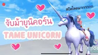 PCHA GAMER : จับยูนิคอร์น สปีดโหดจนต้องร้องว้าววว - UTOPIA ORIGIN - TAME UNICORN HIGH SPEED