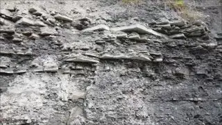 Using drones during geological mapping