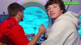Animals fold money @MrBeast #america #viralvideo #newvideo