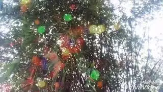 Chanwa traiya u talaiya