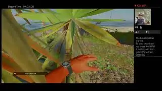 Stranded deep day 4 frozen again.