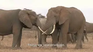 Part 2: Exploring Our Identities: Privileges and Marginalized Identities