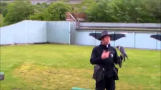 aillweecaves clips 2013
