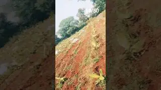 Day 18 | Single Fighter in the Farm 🌾🍌 | Goat Care, Dog Feeding & Banana Field Watering | 50 Days