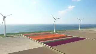 Tulpenfestival 2022