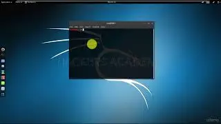 Chapter 4 - Kali Linux Terminal (Learn Kali)