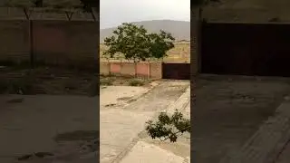 Quetta heavy wind gusts #relaxing #nature #travel #vlog #balochistan #quetta #mountains #shorts