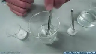 Industry Disruptive Process (Demonstration) | NeutriSci International