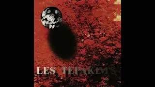 LES TEPAKIM'S - Petit Gar&ccedil;on (Rare French Punk / Post Punk)