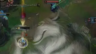 animals warwick meme