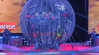 6 Bikes in the Sphere