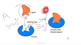 Pharmacology 7th semester, 7th lecture
