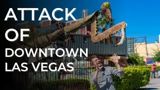 Downtown Las Vegas | Moving to Las Vegas | Custom Fit Real Estate