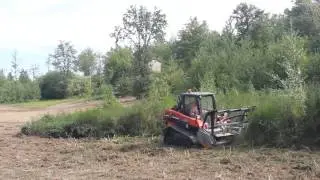 Raupenkompaktlader ETL200T4 mit Forstmulcher FAE 1