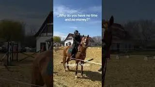 Wie lange habt ihr eure Pferde? #horseedit #springpony #reitpony #reitsport #deutschesreitpony