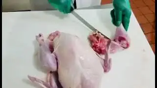 Breaking down a whole turkey (8 pieces)at home