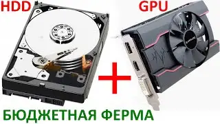 Ферма HDD + ВИДЕОКАРТЫ: МАЙНИНГ ETC и ФАРМИНГ CHIA ОДНОВРЕМЕННО
