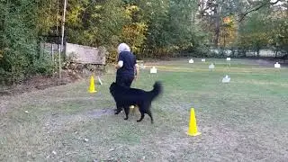 20201108 164138