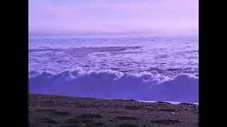 The sunset changes colors everywhere as it disappeared in to the sea. The pacific north coast.