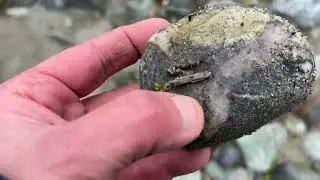 I found so many interesting ore specimens I left that slate ore behind as I get distracted by shiny