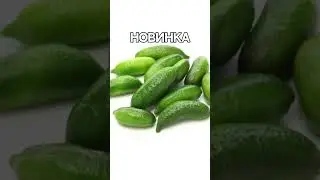 Новый цитрус 🍋 подробнее в описании 🙂