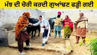 ਮੱਝ ਦੀ ਚੋਰੀ ਕਰਦੀ ਗੁਆਂਢਣ ਫੜ੍ਹੀ ਗਈ majh di chori punjabi short video #majh #chori #guandan #chorni