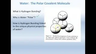 Inland Waters and Properties of Water