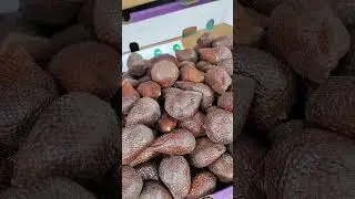 Snake skin fruit