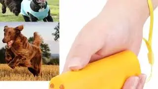 Pet Dog Training equipment | smart gadget | Home and garden