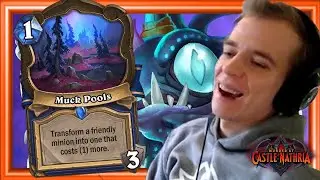 The New Evolve Shaman Is So Much Fun!!