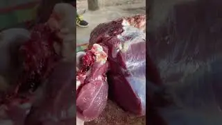 Most amazing beef cutting skills #reels #shorts #amazing #skills