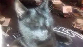 Quality Time With The Purrbaby