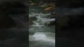 The beautiful sound of rural water #nature #mindfullnesspractice #rain #mindfulpresence #peace