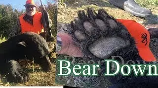 Three Legged Bear Down, NBWildman Bear Bait update