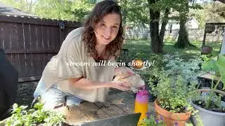 backyard garden stream 🌳🍂 Twitch VOD