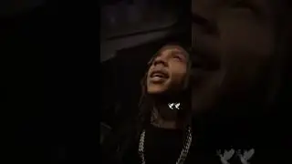 Bloodhound Lil Jeff Playing Lil Scoom89 &ldquo;In Scoom We Trust&rdquo; 🕊️