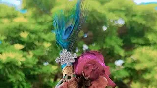 Hello dear friend 👋 jaldi se join ho jaye🙏#shortfeed#livestream#live#viral#trending#livevideo