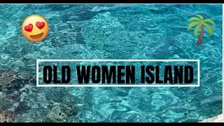 Old Women Island Sunshine Coast Snorkelling!