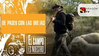 De excursión con Toño y su rebaño